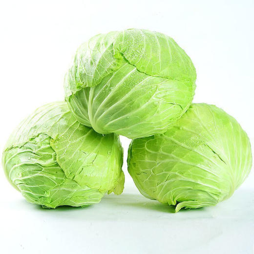 【生鲜预定】小莲白1kg 商品图0