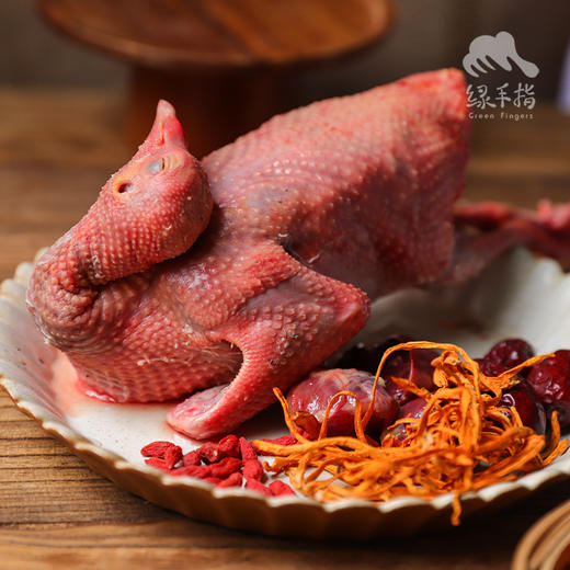 生态乳鸽  | 绿家自产* Eco- squab | Self-production 商品图3