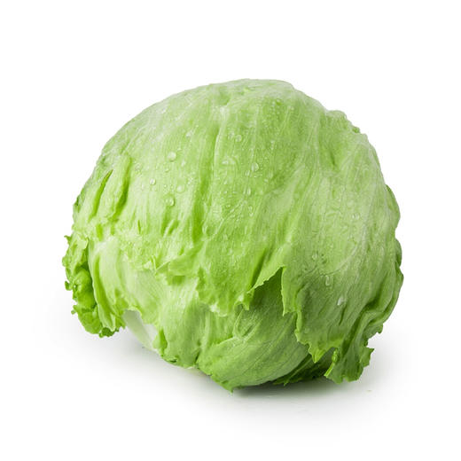 【生鲜预定】圆生菜1kg 商品图0