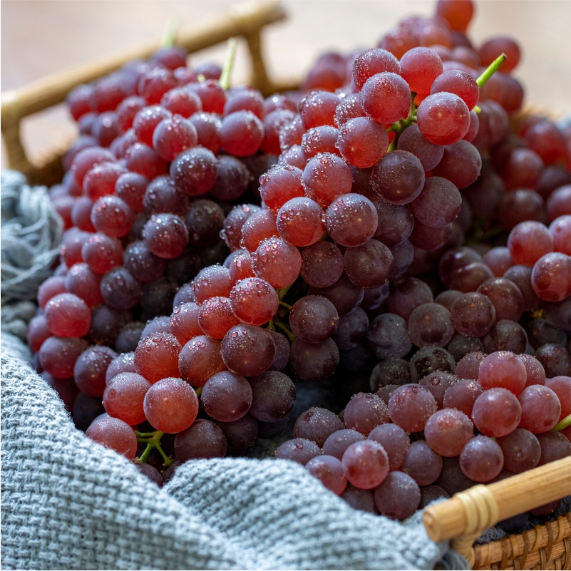 当季鲜果抢鲜尝 现摘现发 冷链配送 红珍珠葡萄5斤装