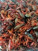 大号小龙虾，1斤13一16只适合做，口味虾 商品缩略图0