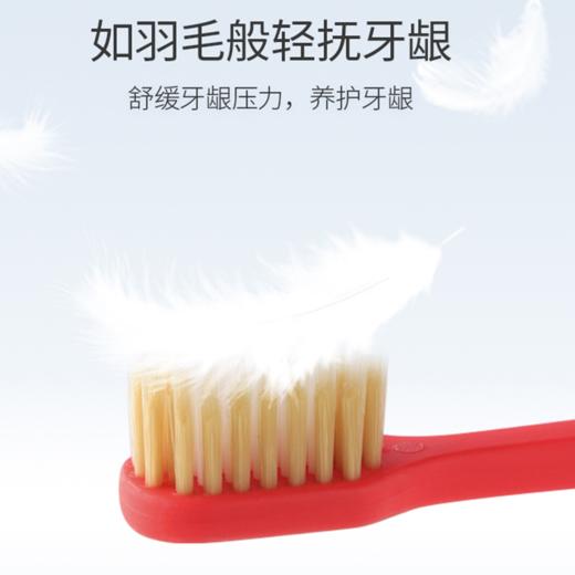 【福利购】由美枝48孔双重洁柔牙刷软毛（摩登灰/静谧白/落英红/玛诺蓝） 商品图4