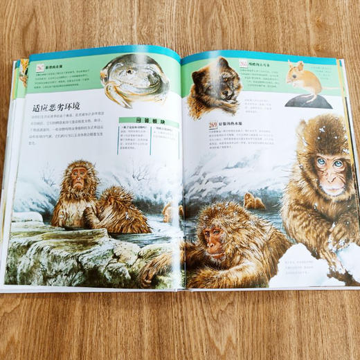 阿拉丁少年自然百科（精装） 商品图1