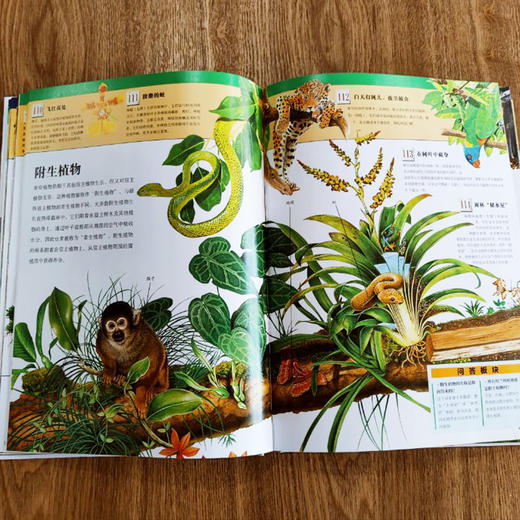 阿拉丁少年自然百科（精装） 商品图3
