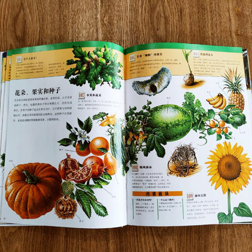 阿拉丁少年自然百科（精装） 商品图4