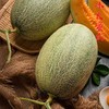 新疆哈密瓜吐鲁番火焰蜜瓜 西州蜜25号 商品缩略图5