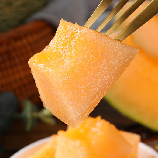 新疆哈密瓜吐鲁番火焰蜜瓜 西州蜜25号 商品图6