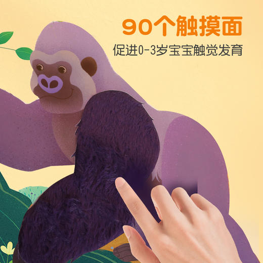 【青葫芦】小手摸摸大自然触摸书 套装4册 0-3岁婴儿启蒙不烂触早教绘本 商品图2