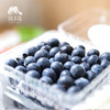 有机蓝莓（云南昆明）| 合作生产*Organic blue berry |  Partner Production 商品缩略图1