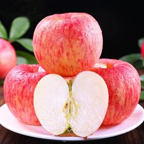 2026新疆阿克苏苹果 （散 ）