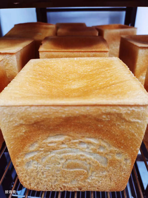 【满2个发货】我有麦田“老种子”面包/有机原料/老酵慢发/明火烤熟 商品图4