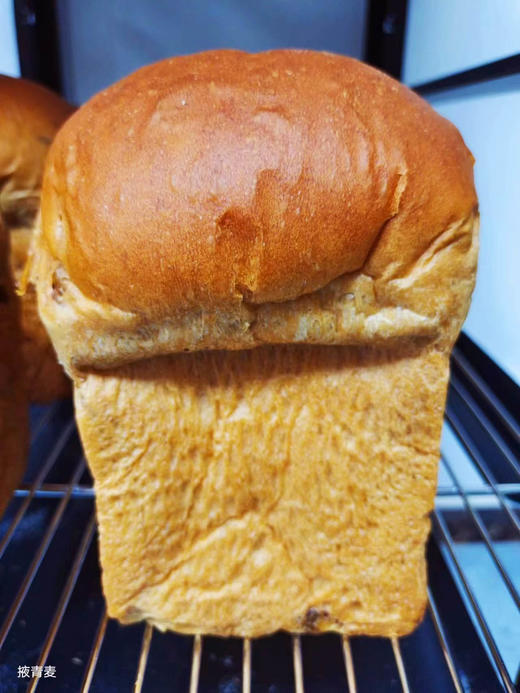 【满2个发货】我有麦田“老种子”面包/有机原料/老酵慢发/明火烤熟 商品图1