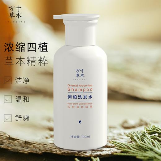 正安优选·方寸草木  侧柏洗发水  自然草本香味 舒爽秀发  清洁控油 商品图0