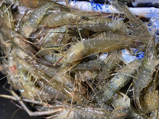 【周四到】德清河虾 200克以上（全部鲜活打包 但包鲜不包活） 商品图1