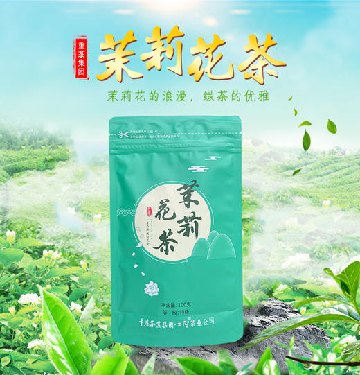 【甄选茉莉花茶100g】七窨花茶/明前头采/精致袋装 商品图0
