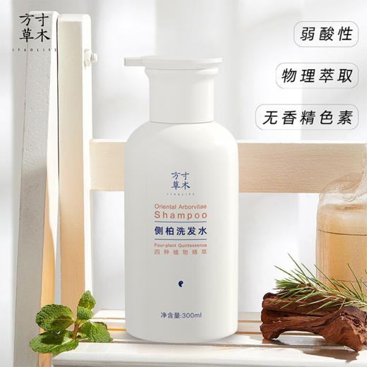 正安优选·方寸草木  侧柏洗发水  自然草本香味 舒爽秀发  清洁控油 商品图1