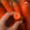 生态河南胡萝卜 | 合作生产*Eco-carrot | Coproduction 商品缩略图1