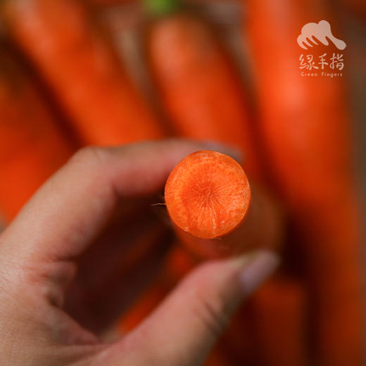 生态河南胡萝卜 | 合作生产*Eco-carrot | Coproduction 商品图1