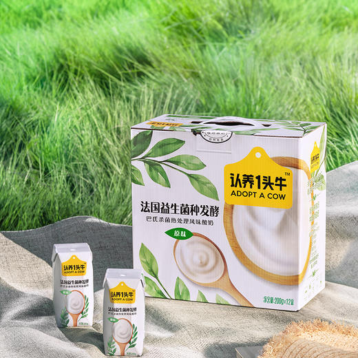认养一头牛常温酸奶200g*12盒*2提 商品图0