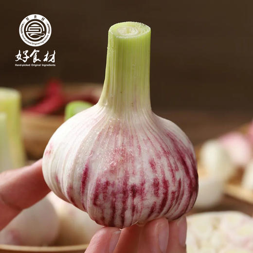 CY-河南中牟紫皮大蒜2斤 商品图1