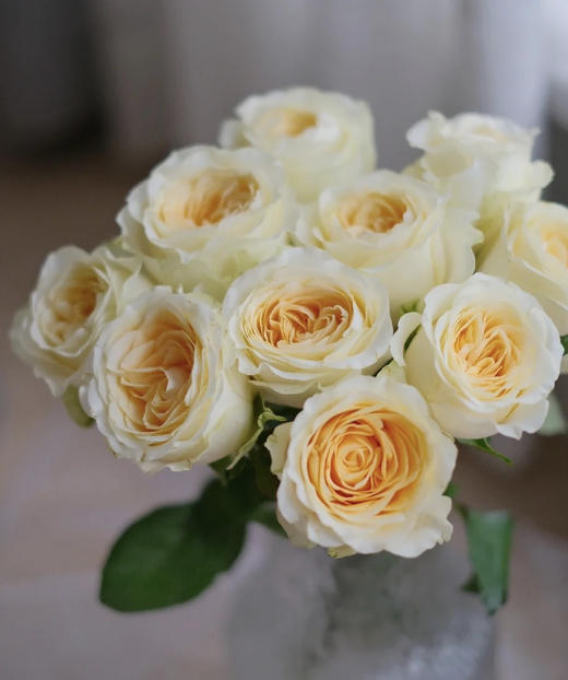 【秒杀福利】奶油杯  20枝 商品图1