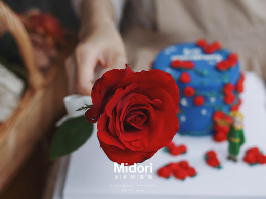 秘密物语 | 红玫瑰 小王子 商品图6