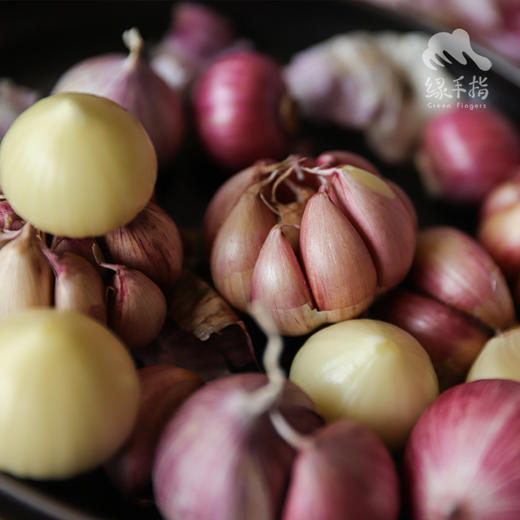 生态紫皮蒜头（干蒜）| 合作生产*Ecological purple-skinned garlic bulb| Partner Production 商品图2