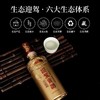 迎驾贡酒 生态洞藏6 浓香型白酒52度  450ml 聚会畅饮 口粮好酒 72小时发货 商品缩略图0