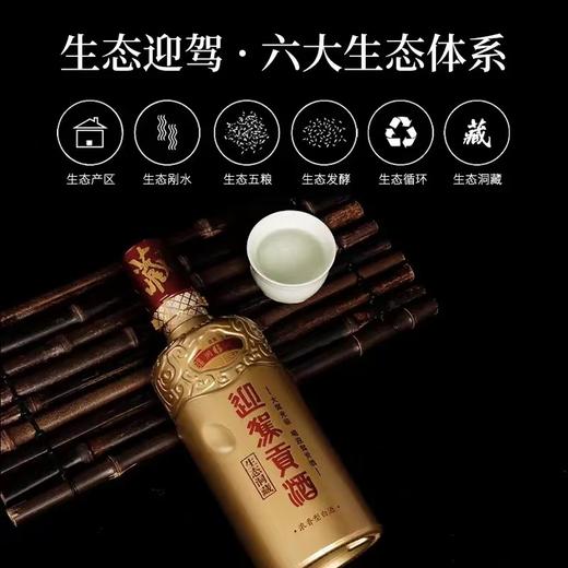 迎驾贡酒 生态洞藏6 浓香型白酒52度  450ml 聚会畅饮 口粮好酒 72小时发货 商品图0