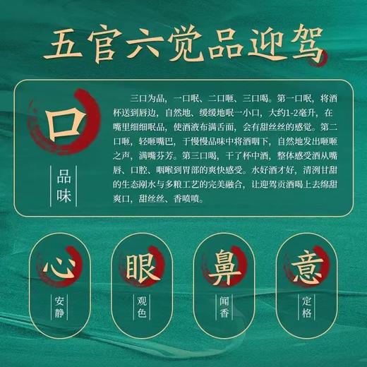 迎驾贡酒 生态洞藏6 浓香型白酒52度  450ml 聚会畅饮 口粮好酒 72小时发货 商品图2