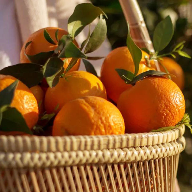 有机沃柑二级果｜素方舟