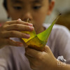 生态粽叶&粽绳（圆通/中通）  |合作生产* Ecological Cast Leaves &rope | Coproduction 商品缩略图1
