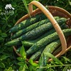 生态青瓜 | 绿家自产* Eco-cucumber | Self-production 商品缩略图0