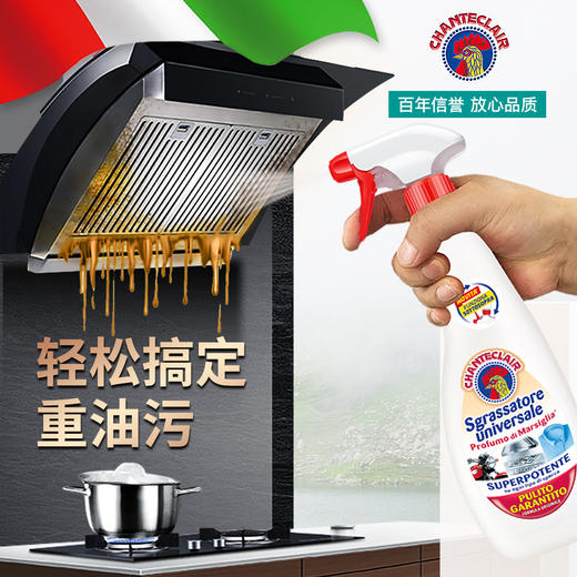 大公鸡管家多能油污净600ml 马赛香/柠檬香 厨房清洁去油污瓦解污渍 117609/117610/117670 商品图1