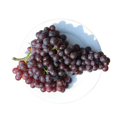 现摘玫瑰香葡萄 无籽葡萄  甜蜜多汁  新鲜水果 500g/份 拍2份包邮 商品图5
