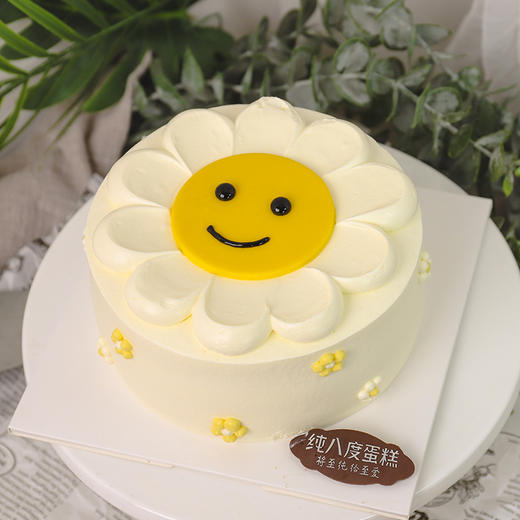 太阳花 商品图0