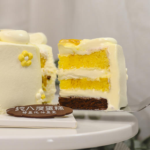 太阳花 商品图1