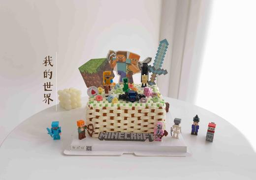 我的世界 商品图0