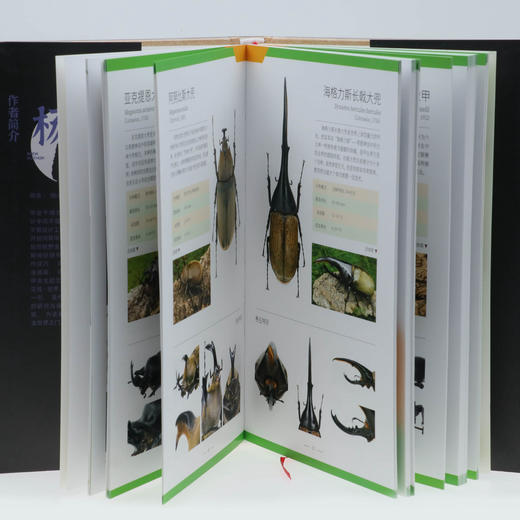 【官方正版】《兜锹花臂》世界200种甲虫图鉴 ★ 牧野官方授权，rlyl推荐  独角仙锹甲科普-分销 商品图1