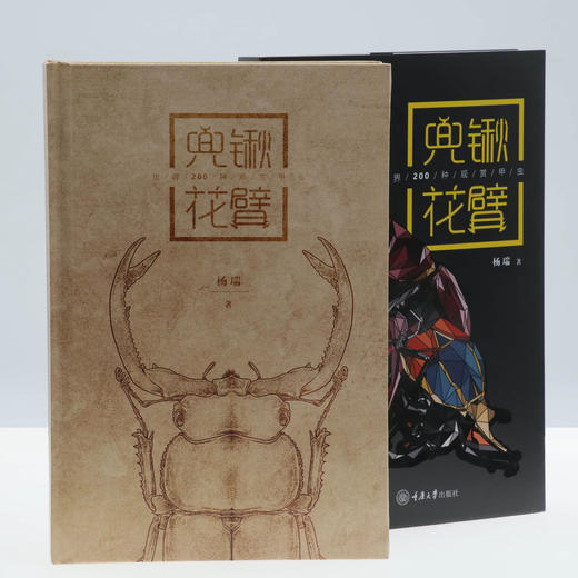 【官方正版】《兜锹花臂》世界200种甲虫图鉴 ★ 牧野官方授权，rlyl推荐  独角仙锹甲科普-分销 商品图3
