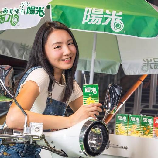 250ml阳光柠檬茶 商品图1