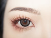 4Youthcon旗下 · 电光薄荷&芥末吐司&蓝莓吐司&反叛黑灰｜14.5mm、14.2mm｜年抛 商品缩略图13