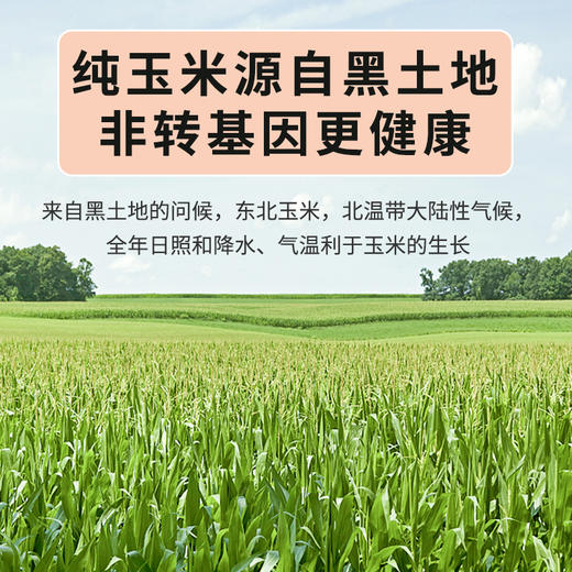 【阳光玉米面条】 低脂低钠 营养全面 买10袋赠10袋 商品图6