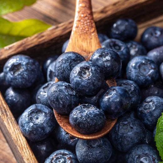 新鲜水果 花香蓝莓脆甜可口蓝莓桶15+  400g左右/份 商品图1