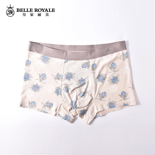 皇家丽美男士内裤平角裤衩大码宽松抗菌四角短裤头男生DKN1073 商品图2