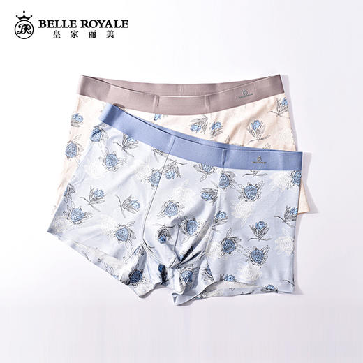 皇家丽美男士内裤平角裤衩大码宽松抗菌四角短裤头男生DKN1073 商品图0