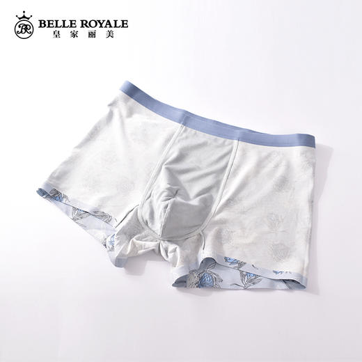 皇家丽美男士内裤平角裤衩大码宽松抗菌四角短裤头男生DKN1073 商品图3