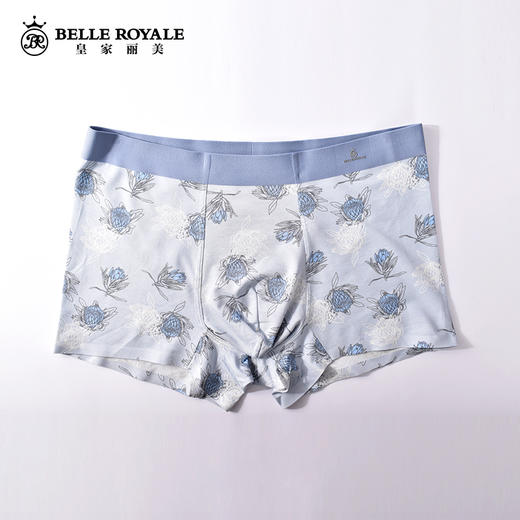 皇家丽美男士内裤平角裤衩大码宽松抗菌四角短裤头男生DKN1073 商品图1