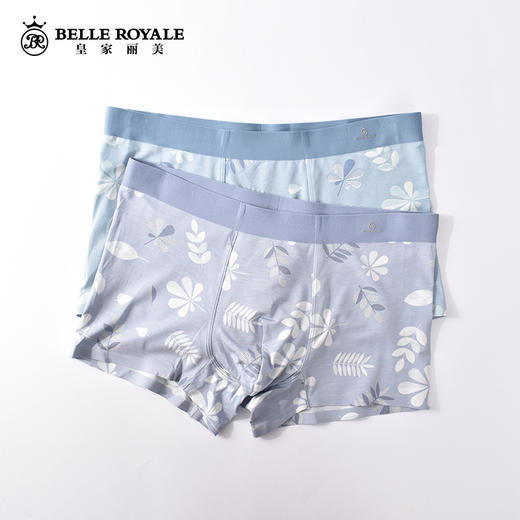 皇家丽美男士内裤平角四角裤莫代尔宽松舒适潮流个性DKN1071 商品图0