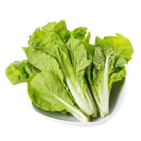 杭白菜500g/份